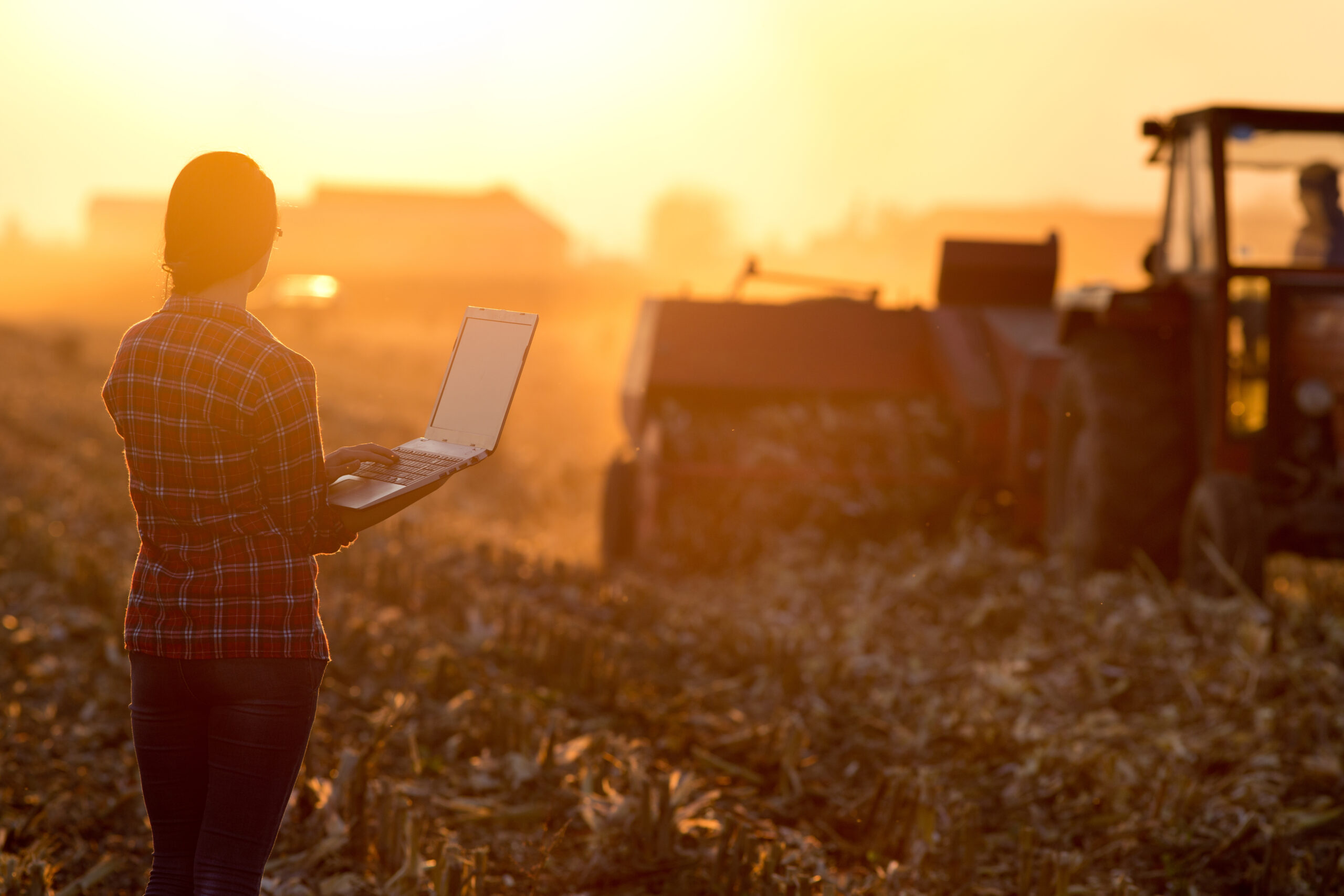 Work in this field. Человек с ноутбуком в поле. В деревне с ноутом. Ноутбук в поле. Девушка с ноутбуком в поле.